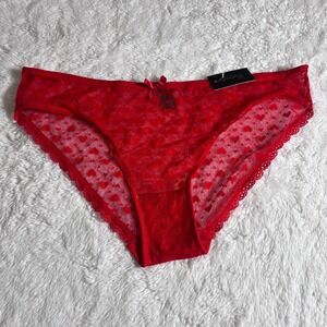Fredericks of Hollywood Red Heart Mesh Lace Bikini Panties Maree X30-2634 1X NWT